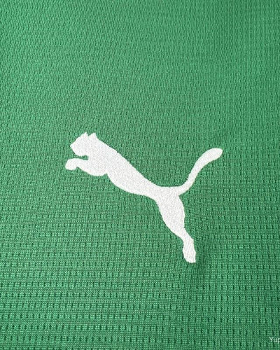 Palmeiras 2026 - Titular Torcedor